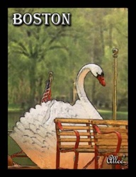 Boston124WHS