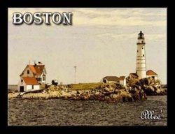 Boston244WHS