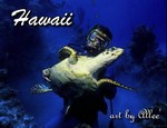 Hawaii107WHS
