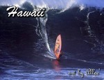 Hawaii120WHS