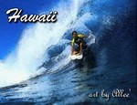 Hawaii135WHS