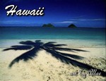 Hawaii103WHS