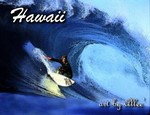 Hawaii112WHS
