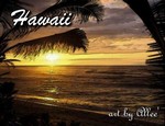 Hawaii113WHS