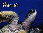 Hawaii134WHS