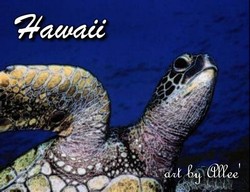 Hawaii134WHS